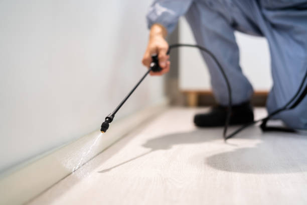 Licensed Pest Control service in Missouri Valley, IA - Show Me Pest Control