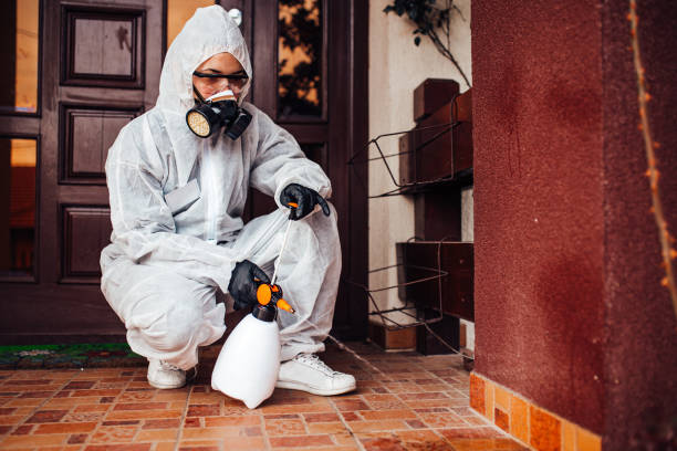 Multi-Unit and Airbnb Bed Bug Protocol in Missouri Valley