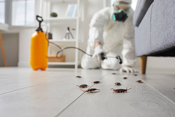 Post-Treatment Bed Bug Interceptor Monitoring in Missouri Valley