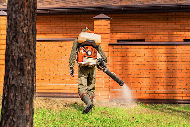 Bed Bug Clearance Verification and Documentation in Missouri Valley